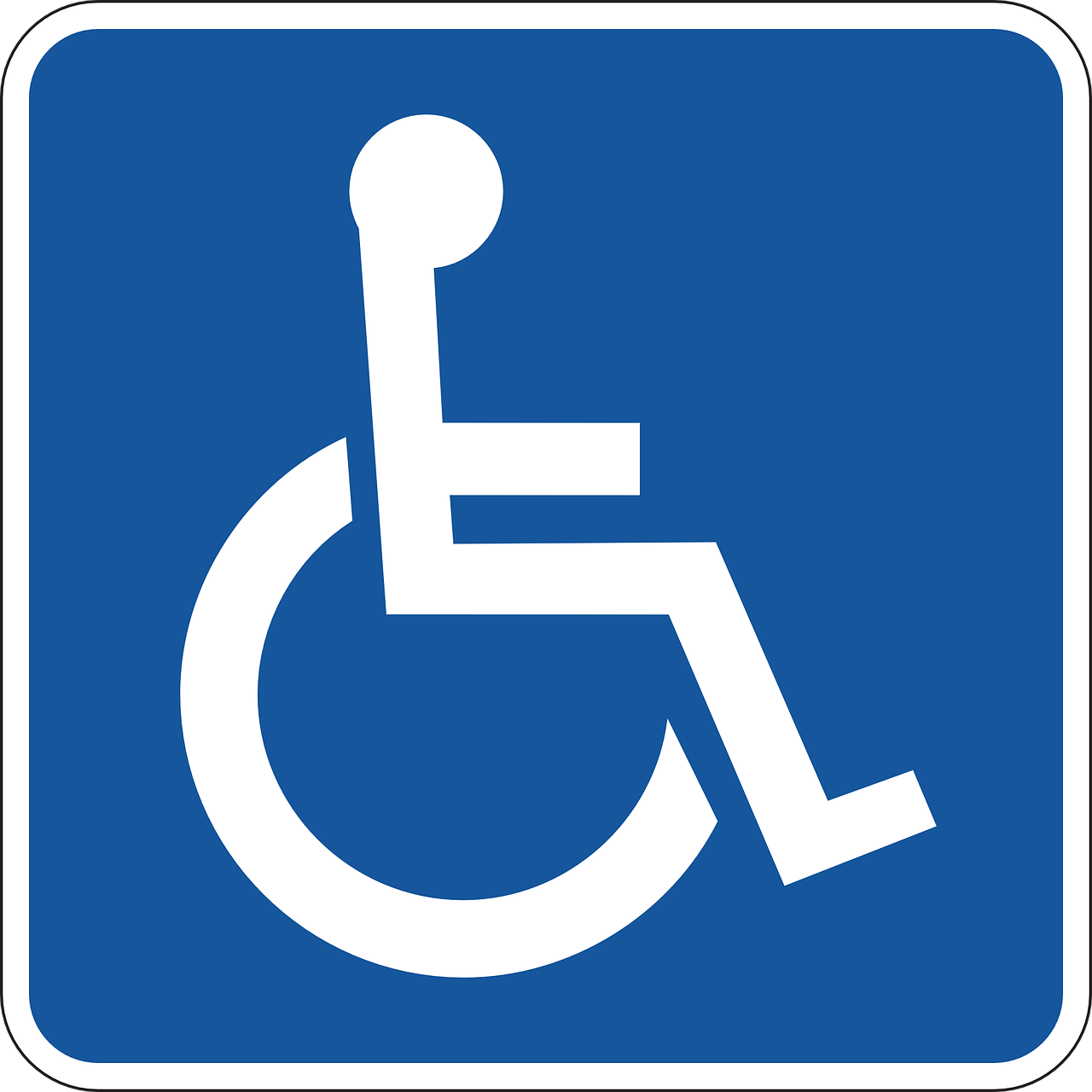 servicii persoane cu dizabilitati